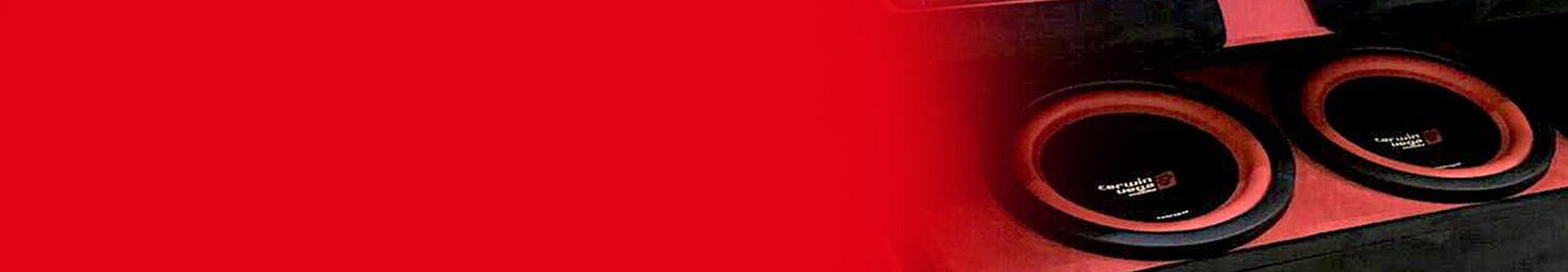 Vega Speaker - Cerwin Vega