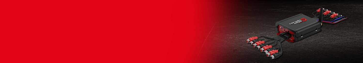 DSP PROCESSORS - Cerwin Vega