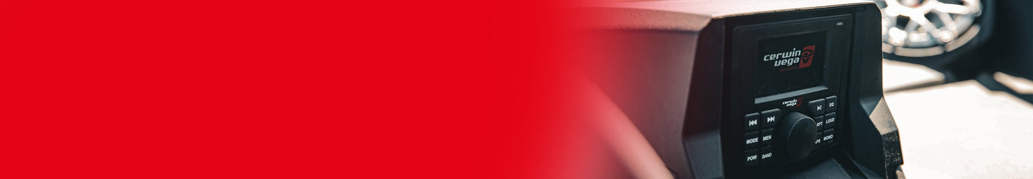 Polaris RZR - Cerwin Vega