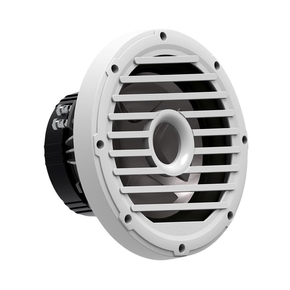 10" 4 Ω SVC Subwoofer For Free-Air Applications