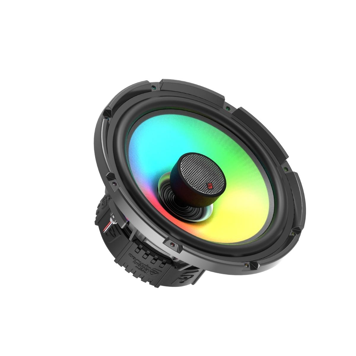 Side of 2-Way 10 Inch Speaker with Dome Tweeter