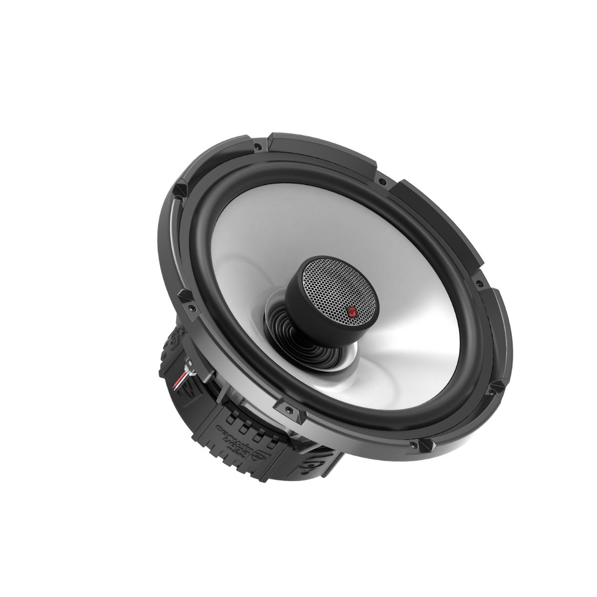 Close-up of the RPM Stroker SM10F4, a 10" round car speaker with a silver cone and black surround designed for marine use. It features a flush mount 1" titanium dome tweeter, part of its 2-way system, housed in a black frame with red and white wires showing at the back.