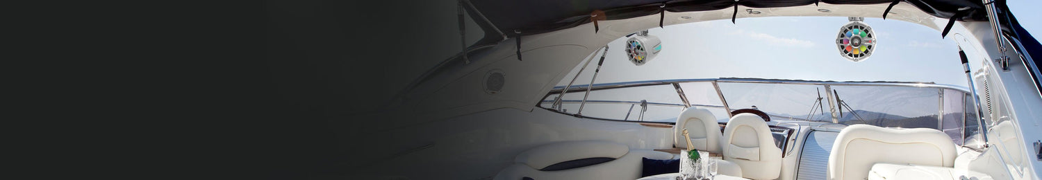 Tower or Canisters - Cerwin Vega