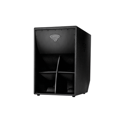 18" Passive Horn Subwoofer W/ Tour Shield