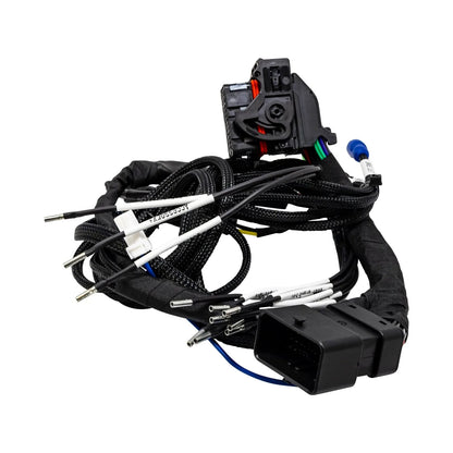 2014-2023 Harley Davidson® Radio T-Harness Kit (Standard Model) - CTLINK - Cerwin Vega