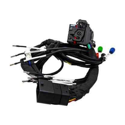 2014-2023 Harley Davidson® Radio T-Harness Kit (Standard Model) - CTLINK - Cerwin Vega