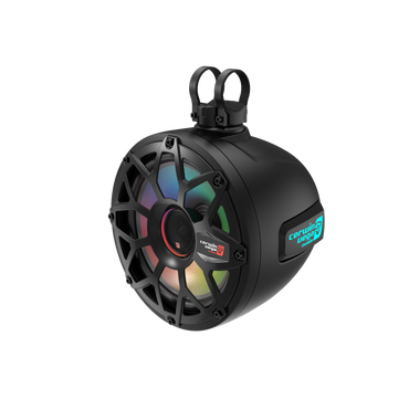 Cerwin Vega 2-Way 10 Inch Speaker Pods - Black